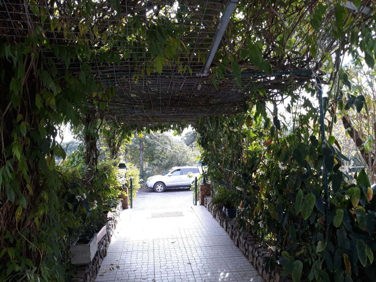 A Deolinda Guest House Santiago do Cacem Bagian luar foto